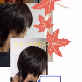 元々土台が違いますからねの画像