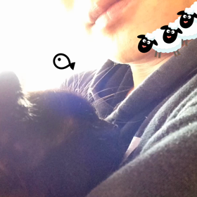 time to get up(u.u＊☀︎の画像