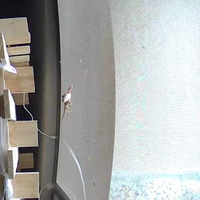 すぎぴたんの事件簿シーズン2　322話（家守り！）の画像