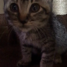 柊華ちゃん☺️の画像