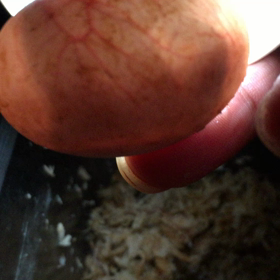 順調順調！の画像