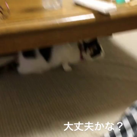 心配だよの画像