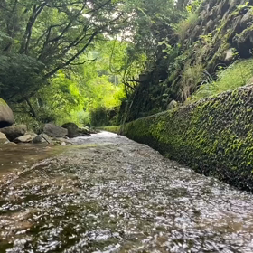 “自然と音遊び” プロジェクト vol.054！の画像