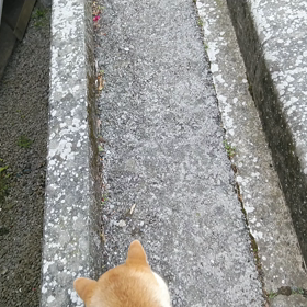 伊太郎のトリセツ　②の画像