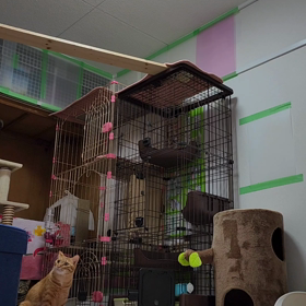 おはよう☀️❗の画像