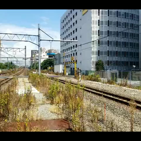 新旧特急踊り子号の画像