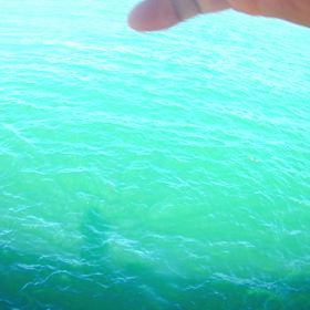 ﾁﾇ釣り動画の画像