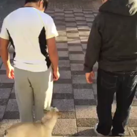 とうとう息子に負ける日が来た。の画像
