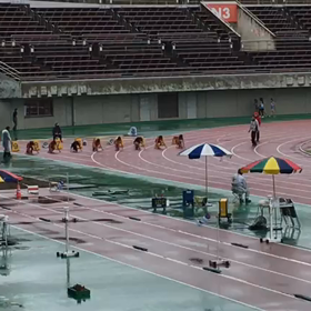 女子６年100m予選③の画像