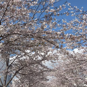 帰宅でお風呂に入って来ましたの画像