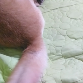 何の夢❓️の画像