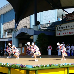 阿波おどり 6/21 夢風鈴さん ②の画像
