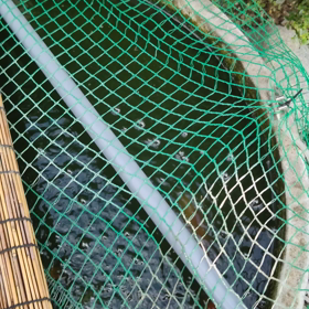 今日も元気だご飯が旨いの画像