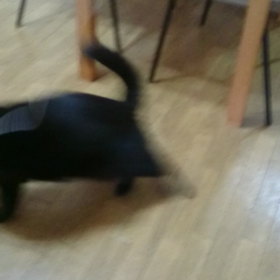 遊ぶじんごろう　20180509の画像