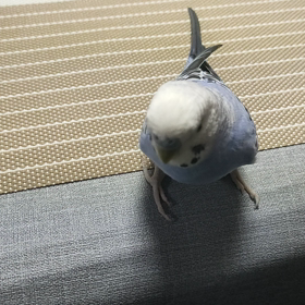 走る。登る。（あ、ちなみに自分ではないですｗ）の画像