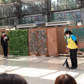 ペンギン　　掛川花鳥園の画像