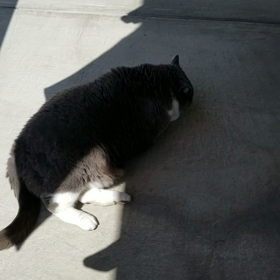 いい天気の画像