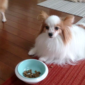 治ったよ♪の画像