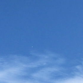 うん  任せるの画像