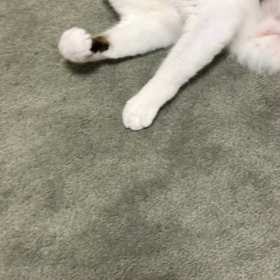 やっとデールが吹っ切れた？じゃなかった？の画像