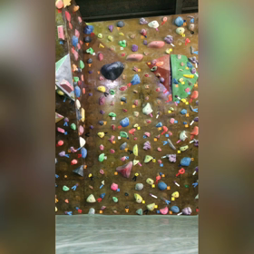 ボル日40の画像