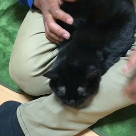 美女と野獣の画像