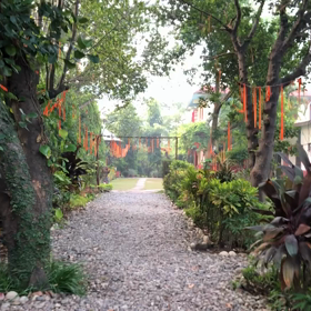 インド リシケシ修行㊻の画像