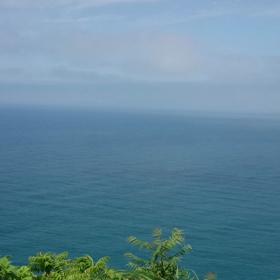 潮騒をお届けの画像