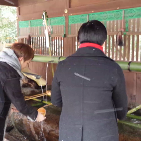 やたがらすの画像