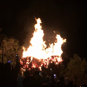三河幡豆鳥羽の火祭りの画像