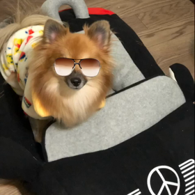 お天気良いなーの画像