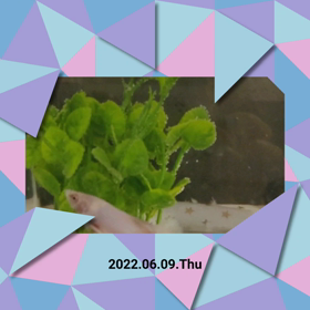 ちょっと色々な事に疲れましたの画像