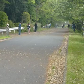 リレー選考会(男子)ゴール付近⑪の画像