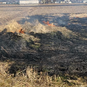 田起こし　ƪ(˘⌣˘)ʃの画像