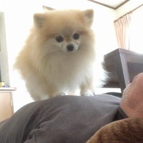 フーの好きな場所の画像