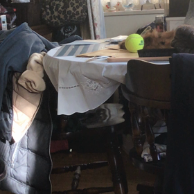 ダニーとテニスボール①の画像