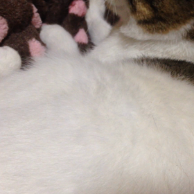 癒されますの画像