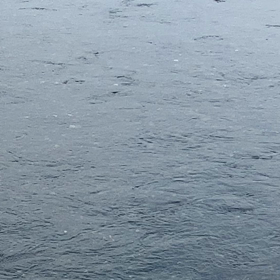 まだ、個人的解禁はできてませんが…の画像