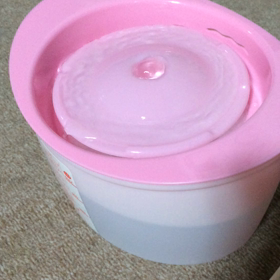 ネコの水飲みの画像