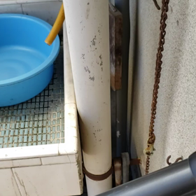 涼しいの(・_・?)の画像