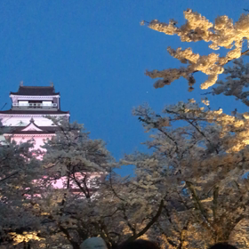 夜桜動画☆鶴ヶ城。の画像