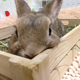 おやすみー。の画像