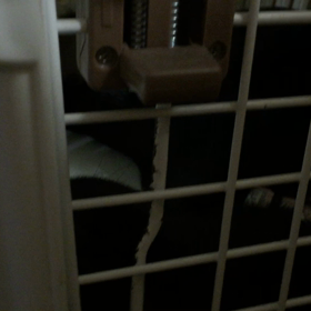 はる、爆睡‼️‼️の画像