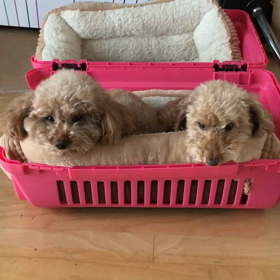 こんにちはの画像