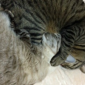 幸せな時の画像