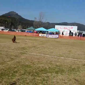 スランプ脱出のきっかけの画像