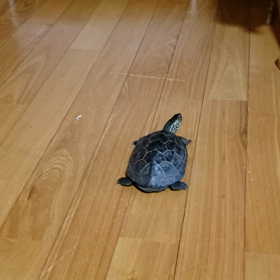 念入りにの画像