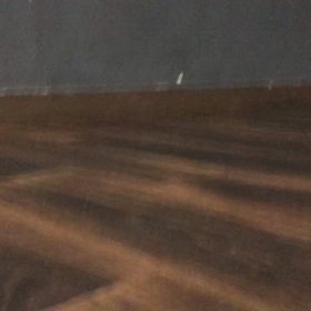 はじめまして！！の画像