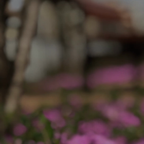 今日からの画像