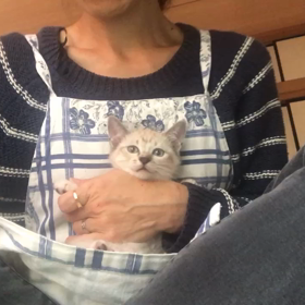 イトちゃん、ビビちゃん爪切りの画像